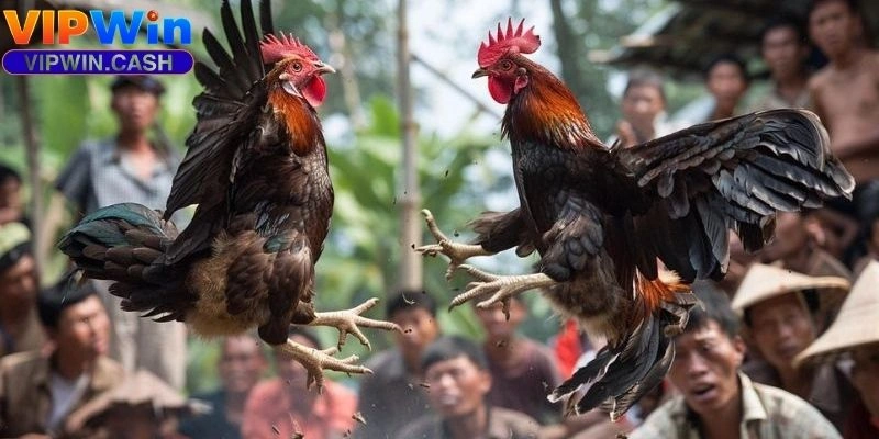 Vảy huyền trâm