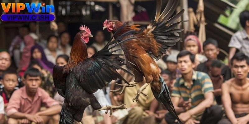 Vảy huyền trâm